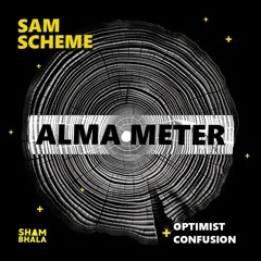 Sam Scheme - Optimist (Original mix)
