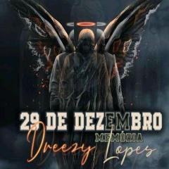 DreezyLopes - 29 De Dezembro (Memória)