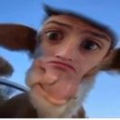 drake donkey doo doo dick freestyle