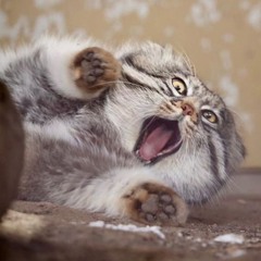 LV - HARDIONICWARE (YAMIKAI EDIT) (FREE DL)