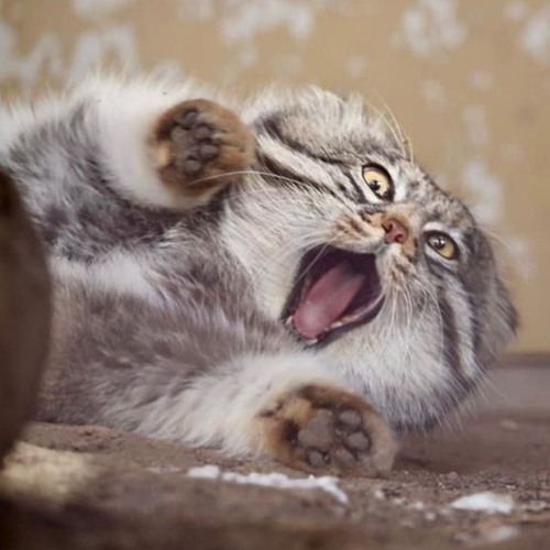 LV - HARDIONICWARE (YAMIKAI EDIT) (FREE DL)