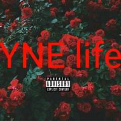 YNE - streets ain't changing
