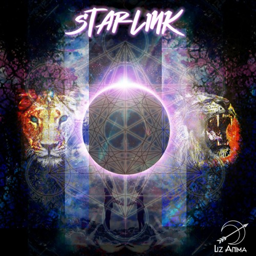 Starlink - A New Vantage Point [Progressive PsyTrance - Tech House - Downtempo Mix by Liz Anima]