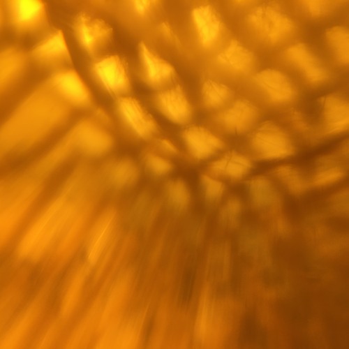 The Creature From Left Field (disquiet0636)