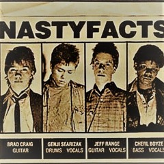 Power Pop Music is the Nasty Facts