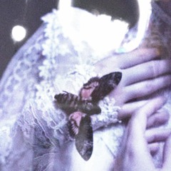 dream florescence