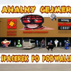 Spacerek Po Podwalu