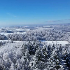 BNWO - Winter (TEASER)