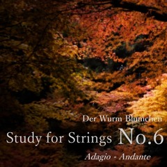 Study for Strings No.6 Adagio - Andante ～ 弦楽アンサンブルの為の習作 No.6  ～