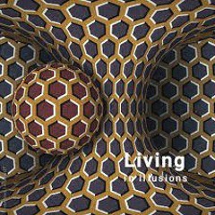 Living in illusions