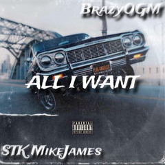 ( All I Want )- S.T.K MikeJames / BrazyO.G.M