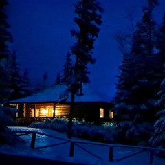 The Colour Under His skin