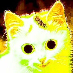 Cat on Cocaine - UwU Fuck (Free DL)