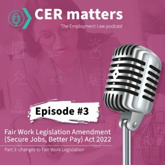 Fair Work Act – Secure Jobs, Better Pay Amendment (Part 3)
