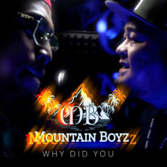 Mountain Boyz - Why DId You by Polow & Assi Ray