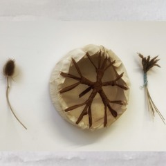 Break the Silence : water is life