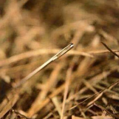 Once In A Haystack And You Will Find The Needle