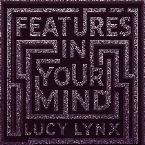Features In Your Mind