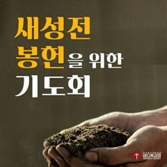 [23일차] 너희가 하나님과 재물을 겸하여 섬기지 못하니라 (마6:24~26)  | 새성전 봉헌을 위한 기도회