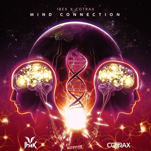 IbeX & Cotrax - Mind Connection (Preview) [Out 14.08. all Stores]