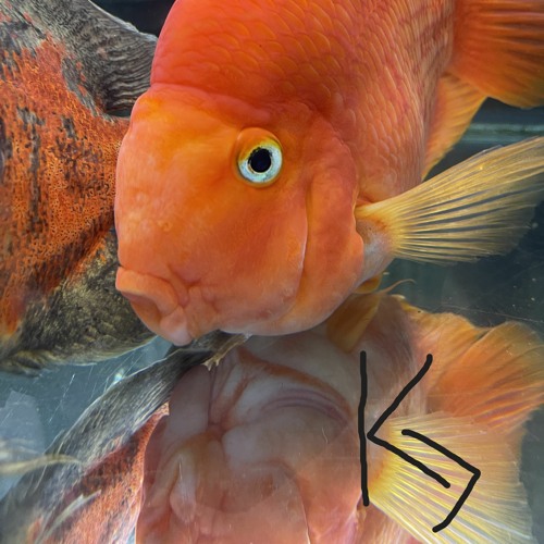 Untitled Mix #1: Quarter Dubstep/ 3 Quarters house