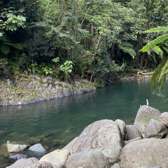 And he showed me a river
