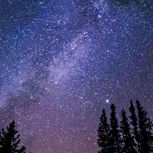 Night sky - Mike Park