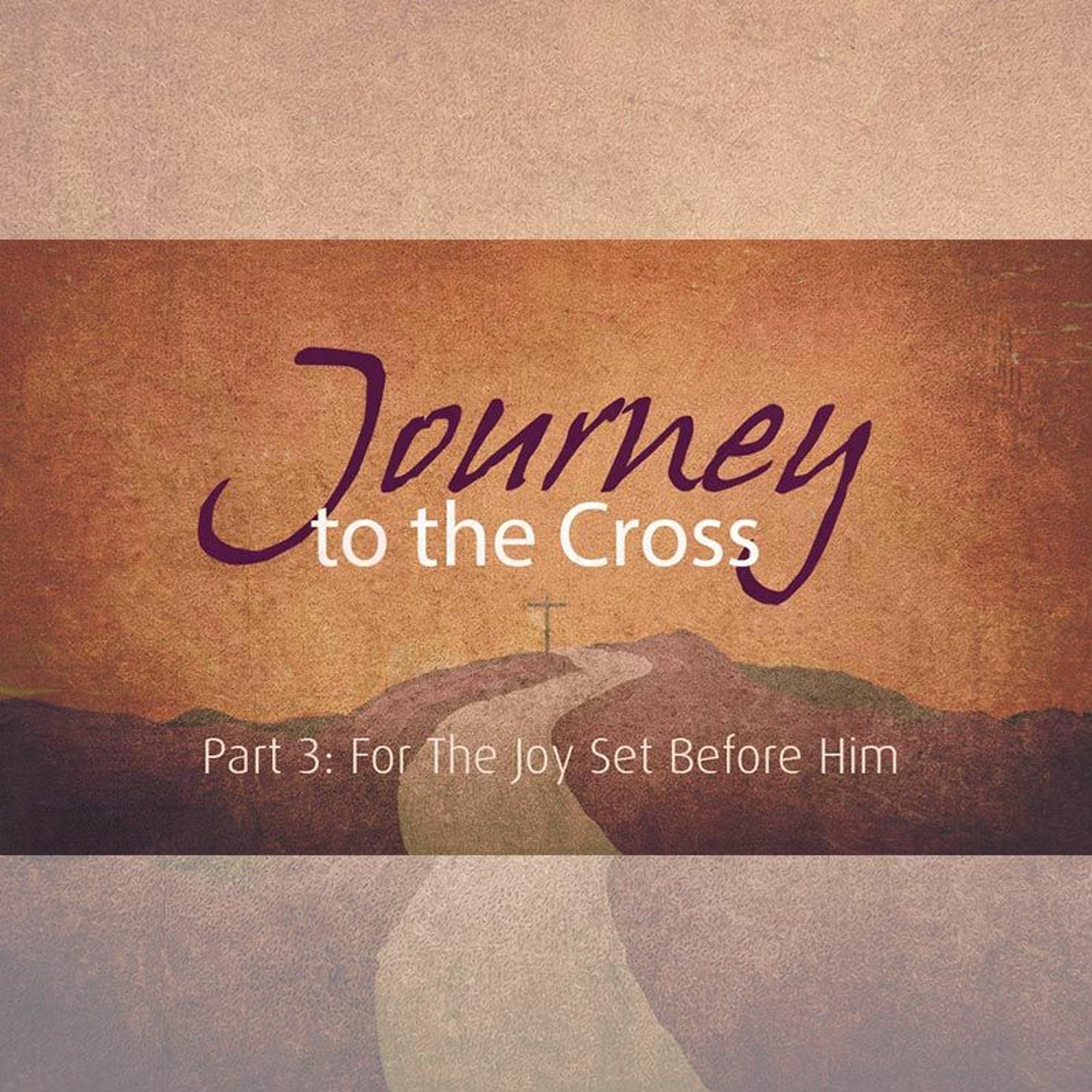 Part 3: For the Joy Set Before Him episode artwork