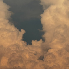 Joseb Herz - nmdsworld 10.04.25