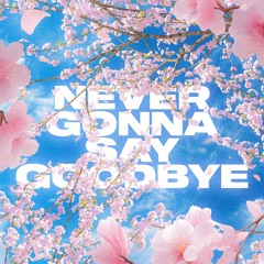 Never Gonna Say Good-Bye