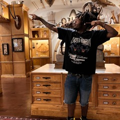 Ville Bill-Paper Planez