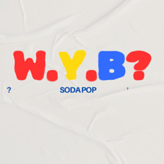 W.Y.B ?