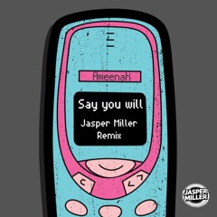 Say You Will (Jasper Miller Remix)