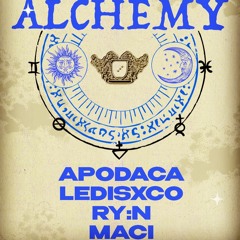 Maci @ALCHEMY 11/25/22