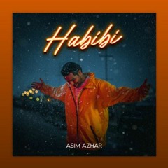 Habibi X Stereo Hearts I Asim Azhar I Mix: Nehmiah T I Gym Class Heros