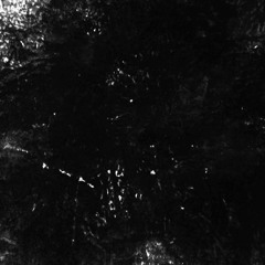 Inanimate /clip/