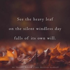 See The Heavy Leaf ( Naviarhaiku 339 )