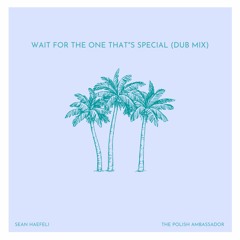 The Polish Ambassador feat. Sean Haefeli - Wait For The One That's Special (Dub Mix)
