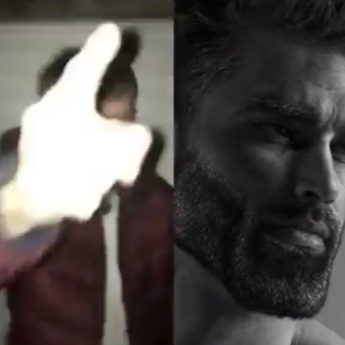 Average Fan VS Average Enjoyer