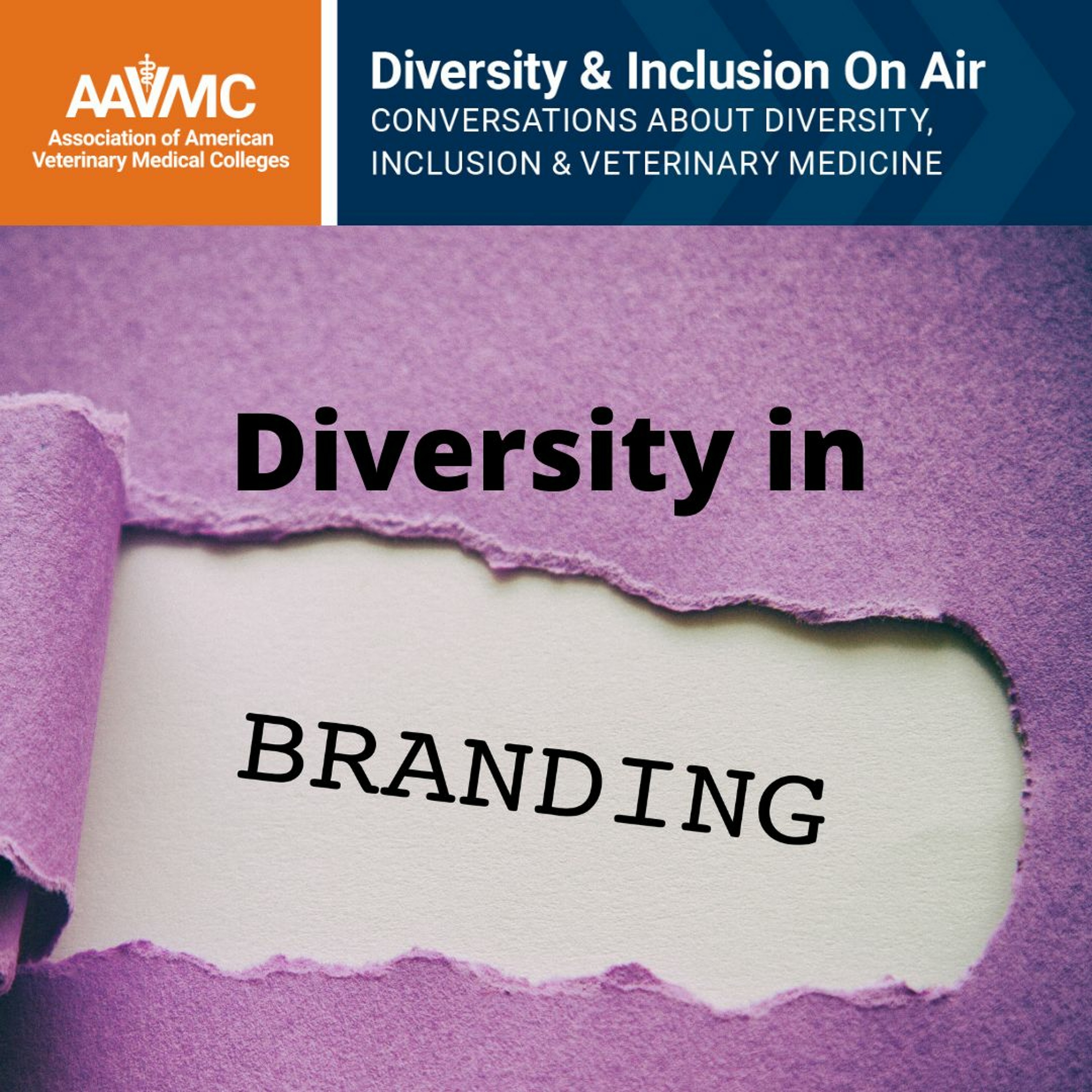 AAVMC\'s On Air: Conversations about Issues in Veterinary Medicine