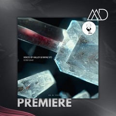 PREMIERE: Voices Of Valley & Raynz - Temple [Us & Them Records]
