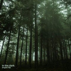 in the dark // angels flip