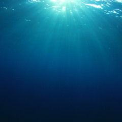Underwater - The Big Blue