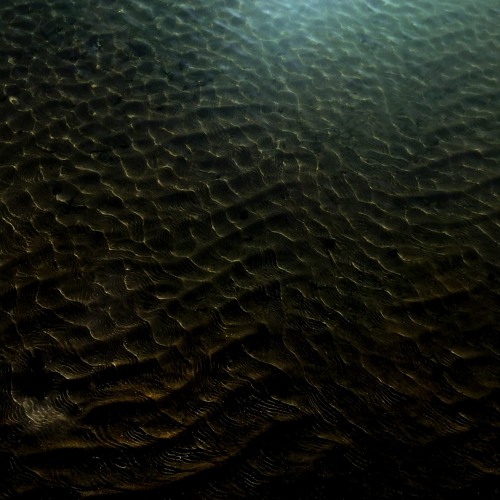 Eric Holm - Alioth