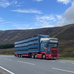 flat to the mat with a party hat