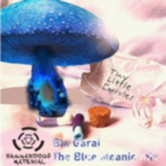 Blu Garaj UGGGY  The  Blue Meanie Mix 5.7.24