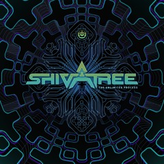 Shivatree - The Unlimited Process (Dj Mix)