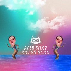 Acid Foxy @ Kater Blau Reopening - April 2022