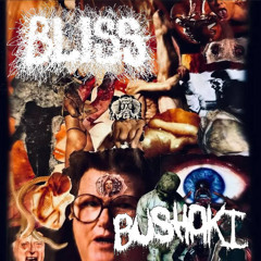 BLISS! / BUSHAKI SPLIT