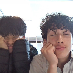 ultrasonic mouse reppelent